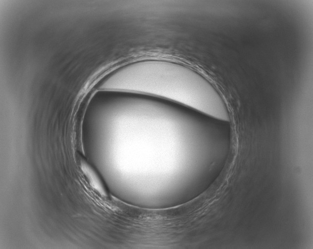 X0000086250199200703291044