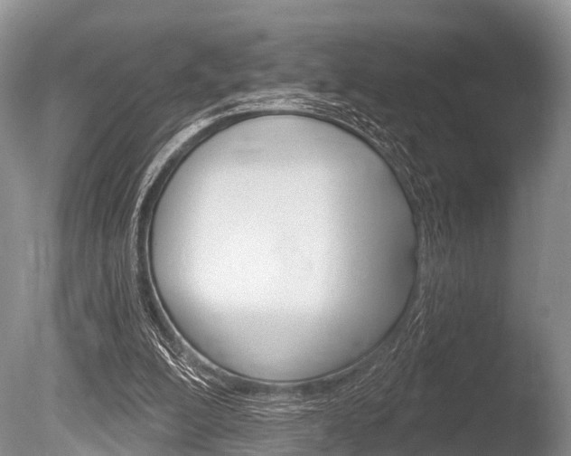 X0000086250200200703291044
