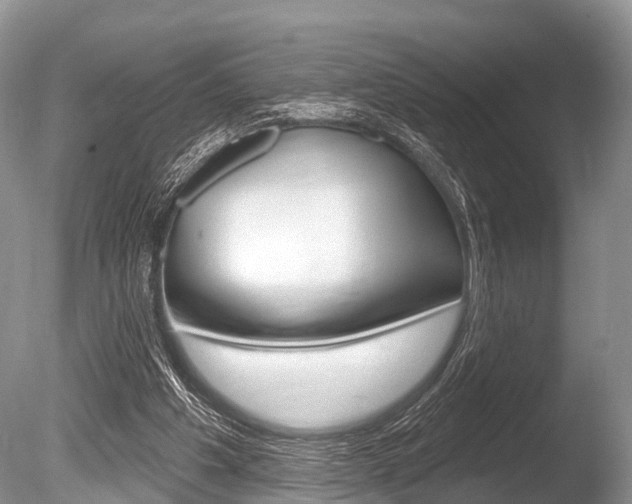 X0000086250201200703291044