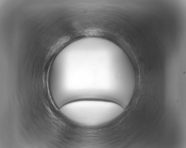 X0000086250202200703291044