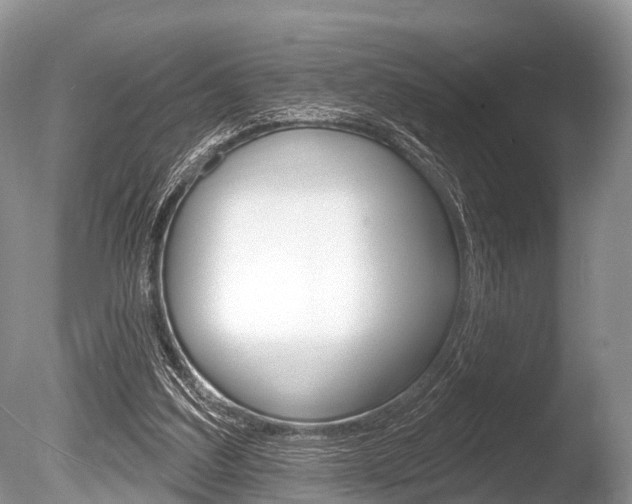 X0000086250203200703291044