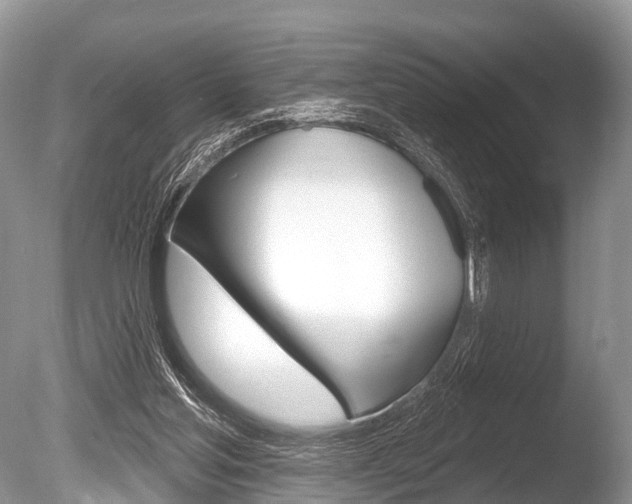X0000086250205200703291044