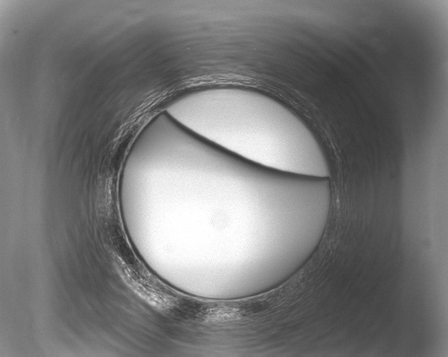 X0000086250206200703291044