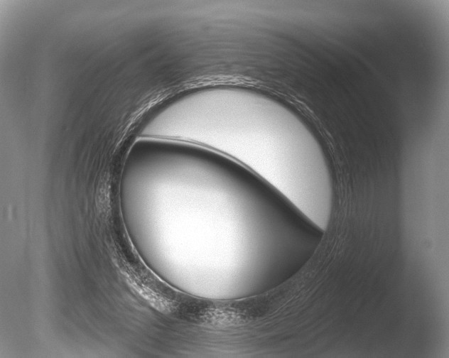 X0000086250207200703291044