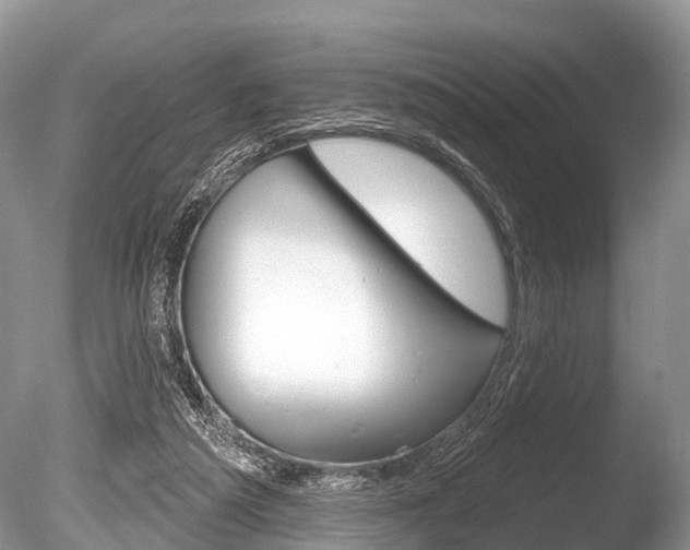 X0000086250209200703291044