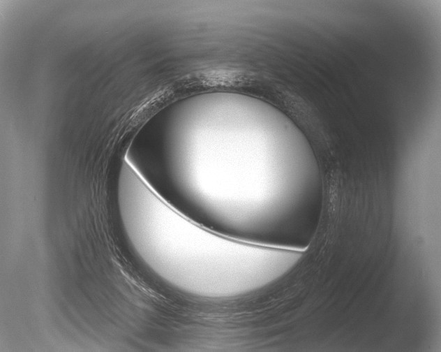 X0000086250211200703291044