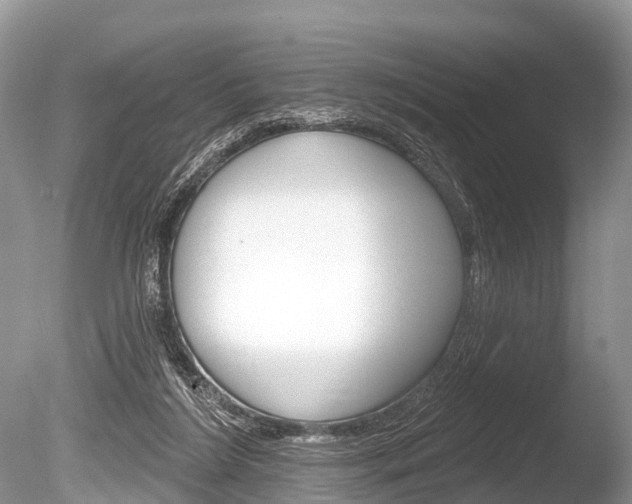 X0000086250212200703291044