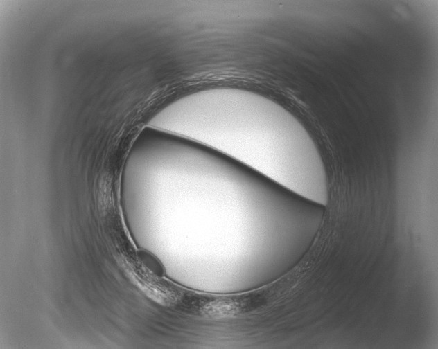 X0000086250213200703291044