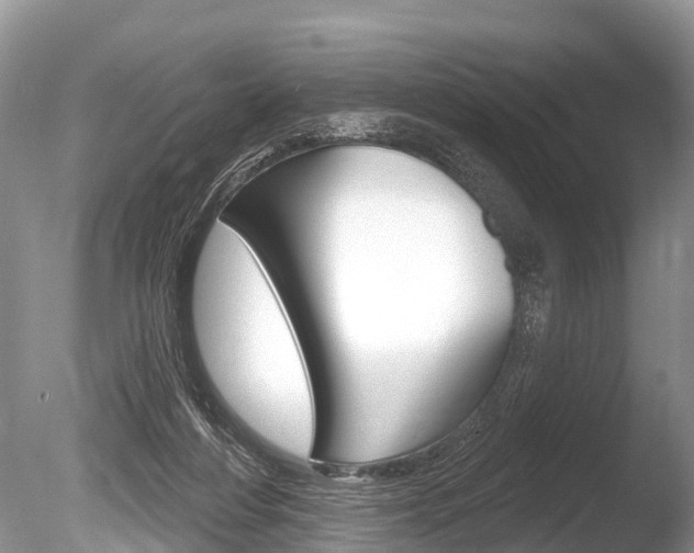 X0000086250216200703291044