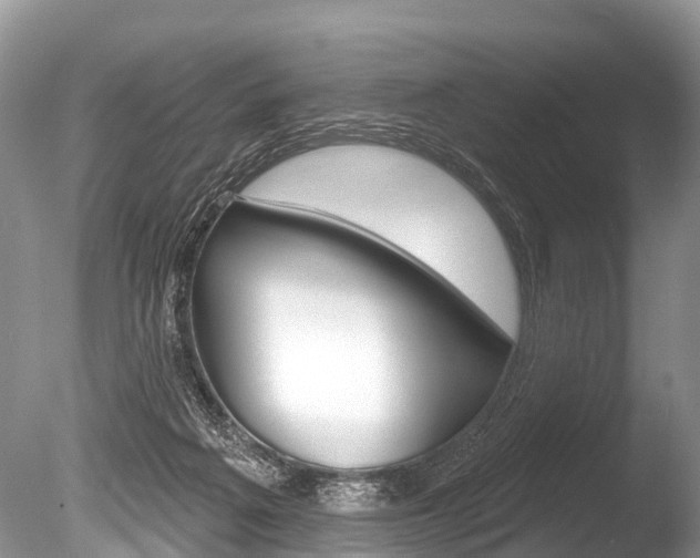 X0000086250217200703291044