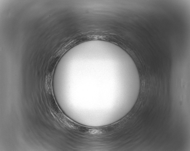 X0000086250218200703291044