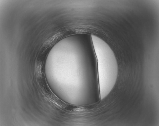 X0000086250219200703291044