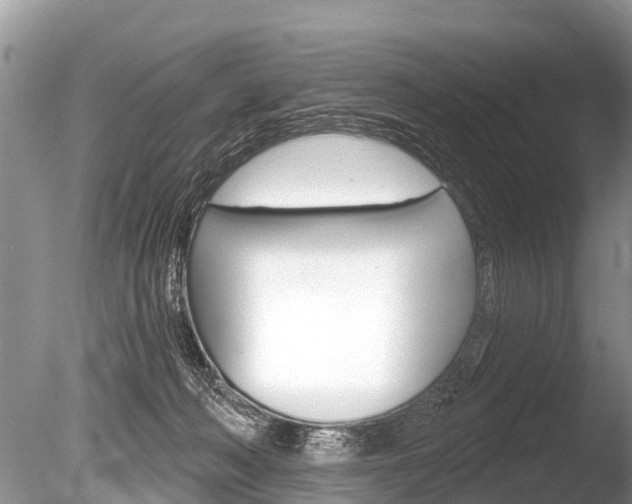 X0000086250222200703291044