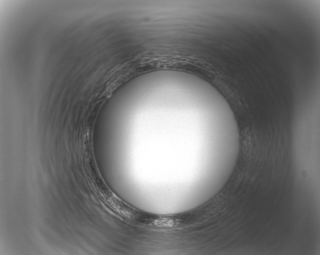 X0000086250225200703291044