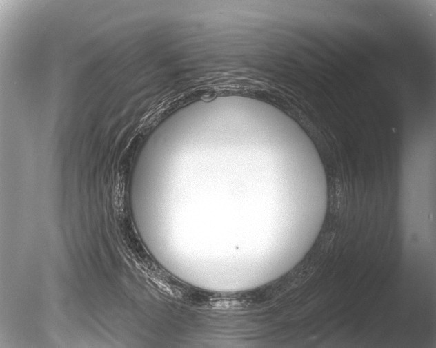 X0000086250228200703291044