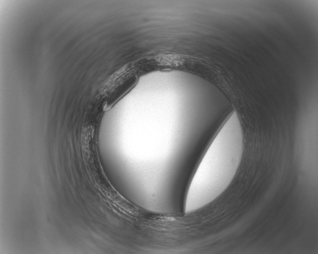 X0000086250229200703291044