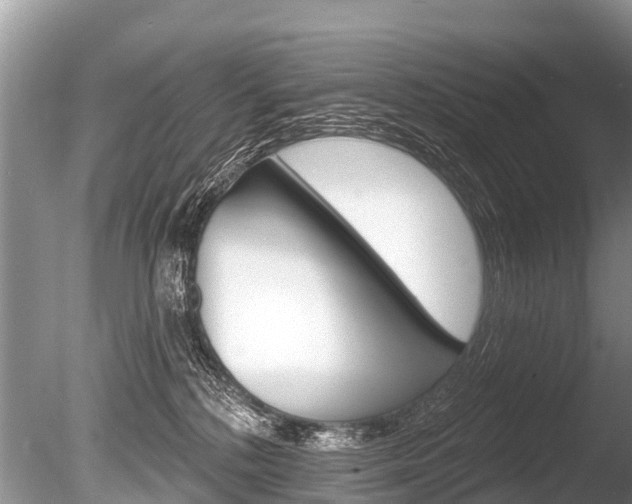 X0000086250232200703291044