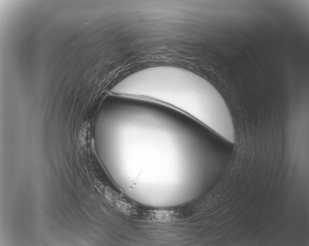 X0000086250233200703291044
