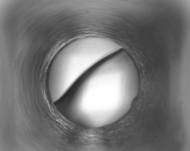 X0000086250241200703291043