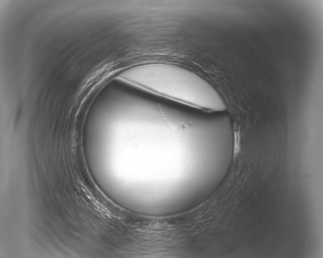 X0000086250243200703291043