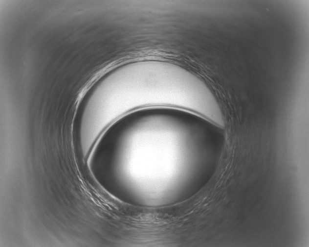 X0000086250244200703291043