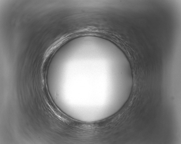 X0000086250245200703291043