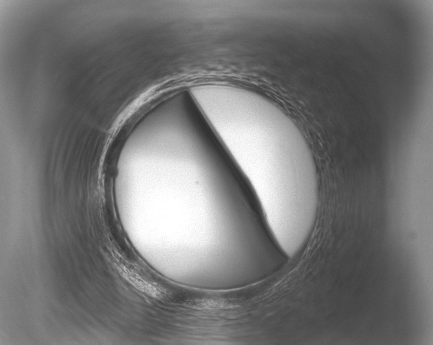 X0000086250246200703291043