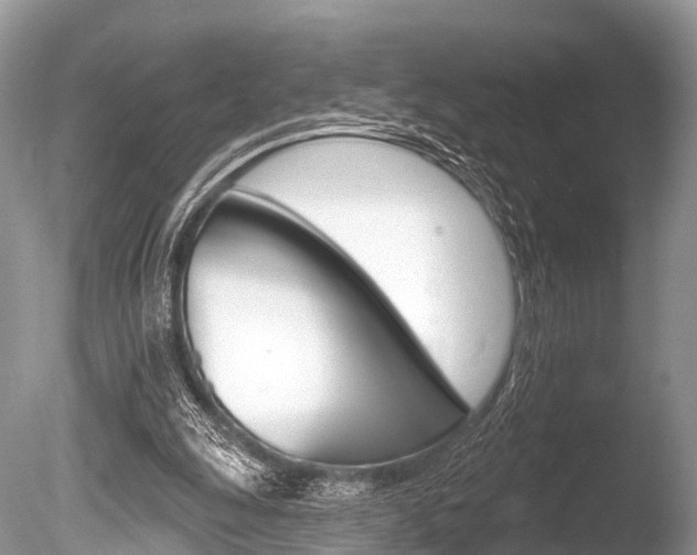 X0000086250247200703291043