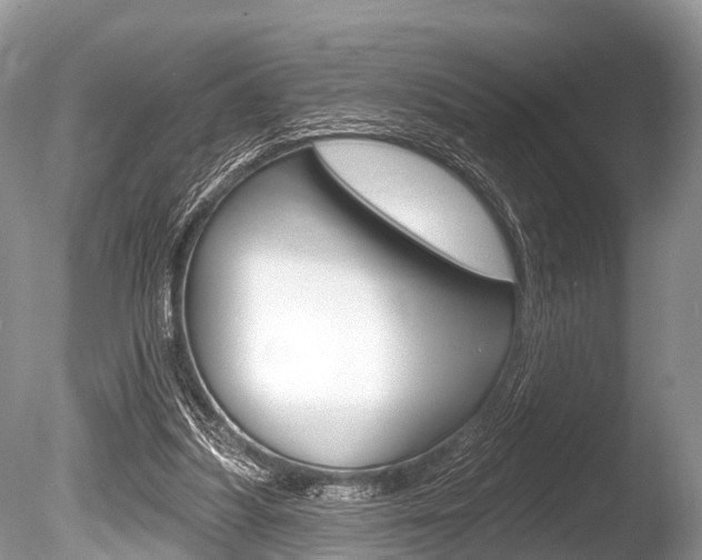X0000086250251200703291043