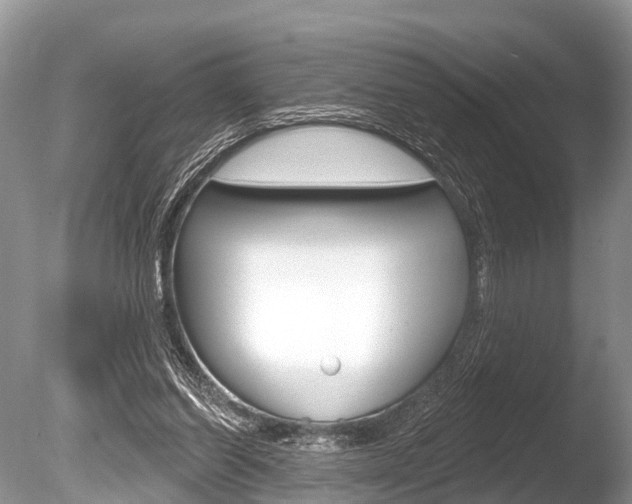 X0000086250254200703291043