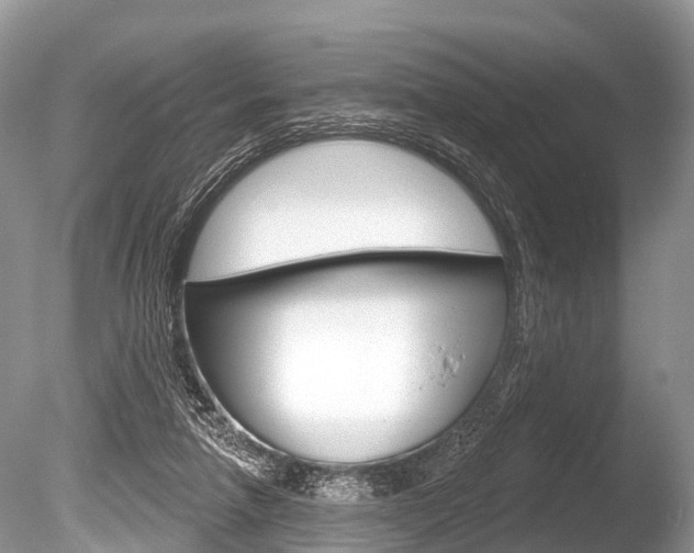 X0000086250258200703291043