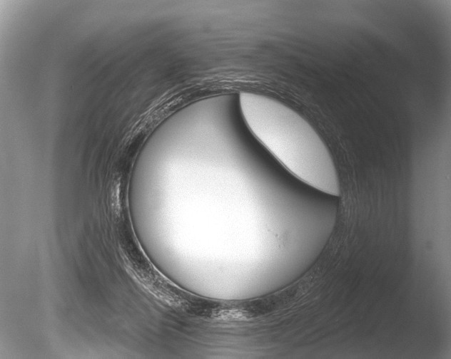 X0000086250262200703291043