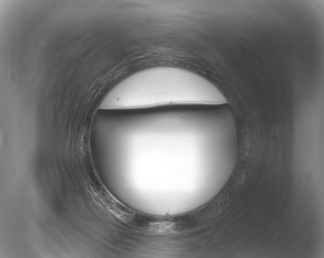 X0000086250266200703291043