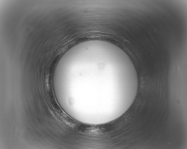X0000086250267200703291043