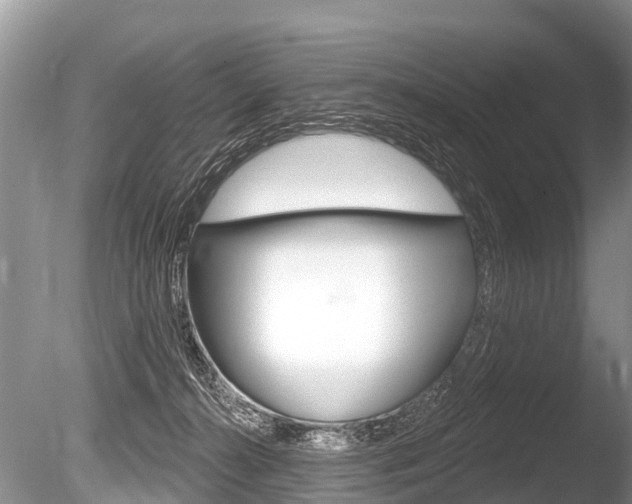 X0000086250272200703291043