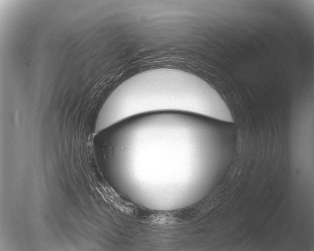 X0000086250284200703291044
