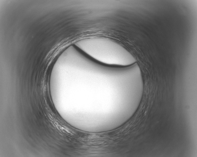 X0000086250290200703291043