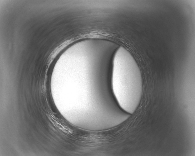 X0000086250292200703291043