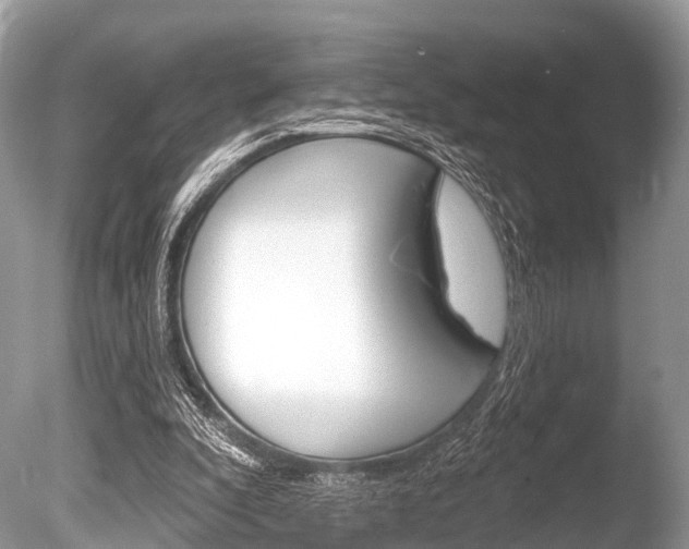 X0000086250296200703291043