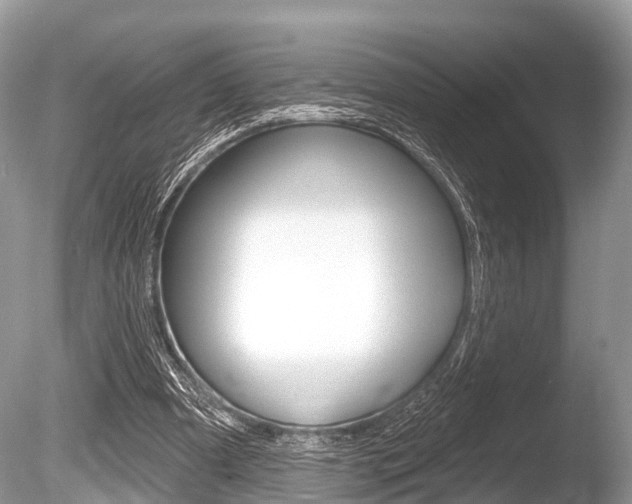 X0000086250297200703291043