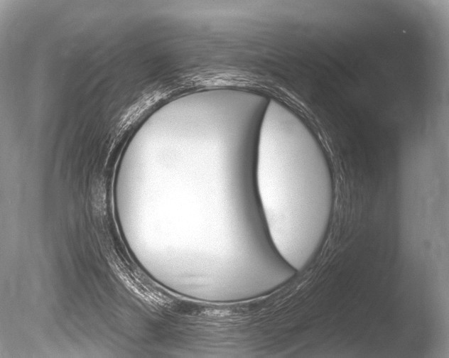 X0000086250298200703291043