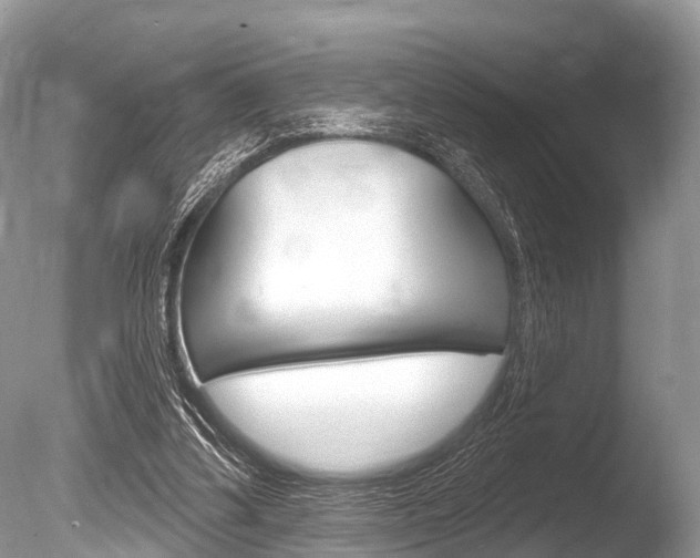 X0000086250299200703291043