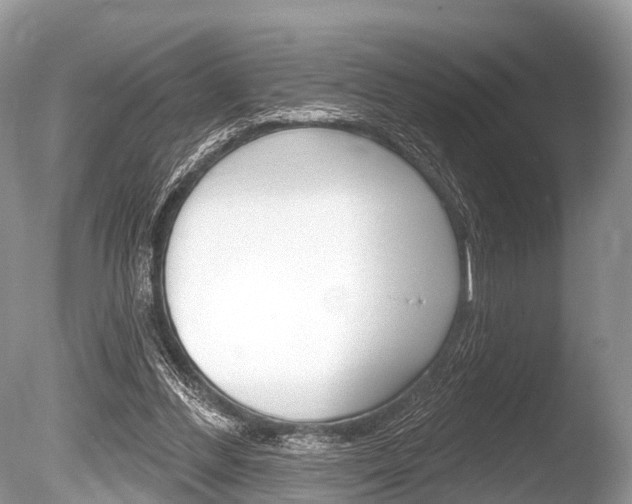 X0000086250300200703291043