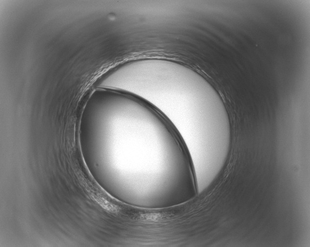 X0000086250301200703291043