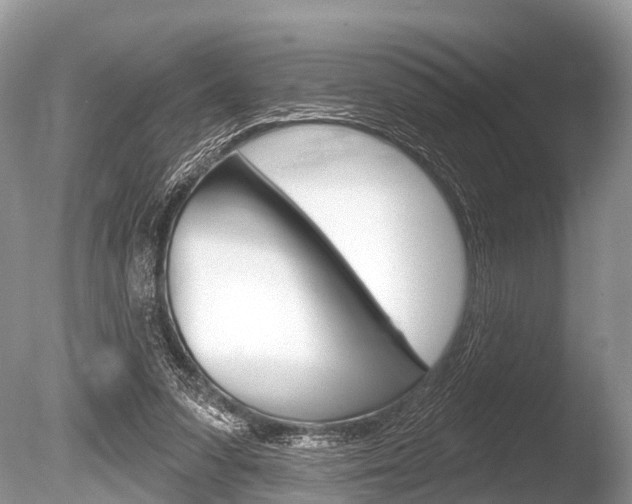 X0000086250303200703291043