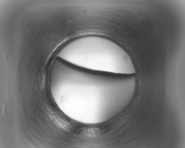 X0000086250304200703291043