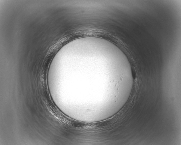 X0000086250306200703291043