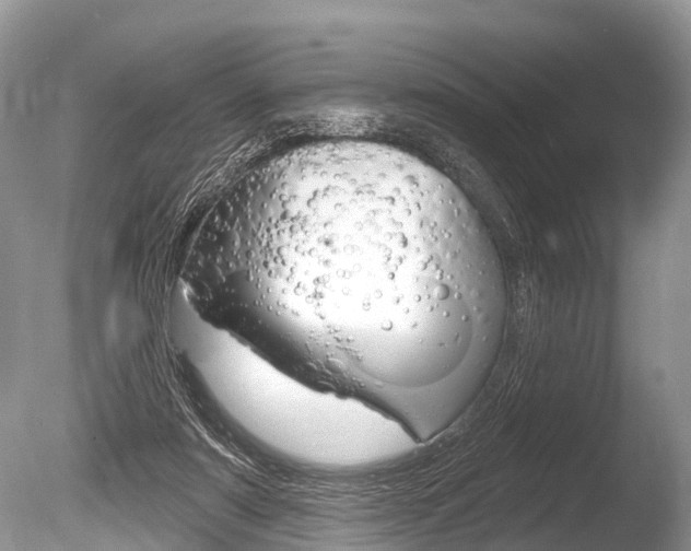 X0000086250307200703291043