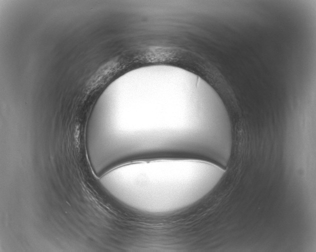 X0000086250308200703291043