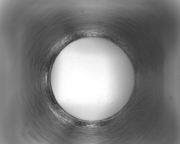 X0000086250310200703291042